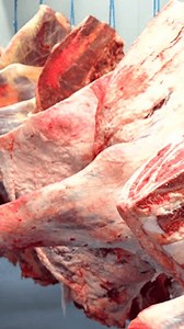 Rotes Fleisch, das in einer Reihe: Stockvideos & Filmmaterial (100 % lizenzfrei) 3659361075 | Shutterstock
