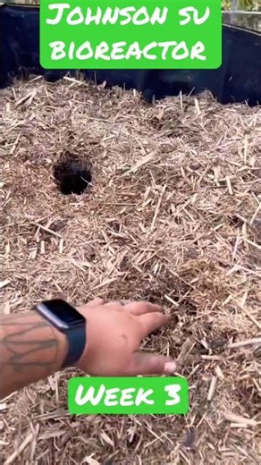 ?Mushrooms growing in Johnson Su Bioreactor? #compost #organic