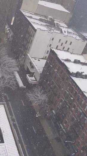 #Snowy #sunday #morning in #NYC ! ❄️ ☕ #winter #weather #february2022 | Bonnie Schneider