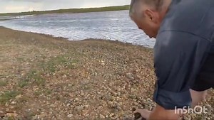 Rye Harbour Nature Reserve on Reels