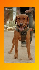 Ray Allen Manufacturing on Reels