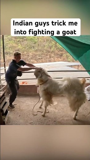 Why would he make me give his husband 😡