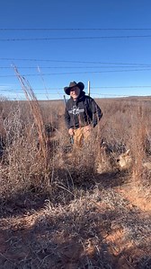 19K views · 394 reactions | Snare use in predator control | Pine Hollow Trapping and Supplies | Facebook