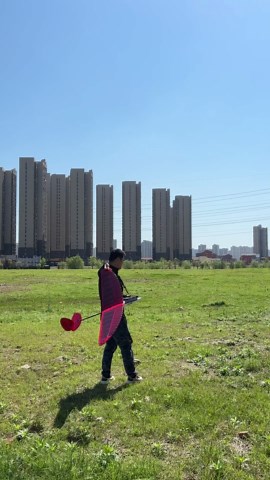 1.2M Balsa Hand Launch DLG Glider FD12 Windrunner Need to Build for Adults (FD1204)