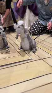 We wanted to introduce you to the REAL Fab 5 of Cinderella ;) We’re thrilled for you to meet Pedro, Simon, Bruce, Marcie, and Charles.A huge shoutout to Cassie Seaboyer for these gorgeously made rodents 🤩 | Neptune Theatre