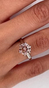 2.8K views · 11 reactions | The perfect combination doesn’t exi- Our signature Blushing Bride Solitaire with a 2ct round cut pink diamond is absolutely made in heaven! The light pink shade of this diamond is a beautiful representation of the Serruria florida, the indigenous fynbos flower that inspired this engagement ring design. Save this ring for your own inspiration  | Cape Diamonds | Facebook