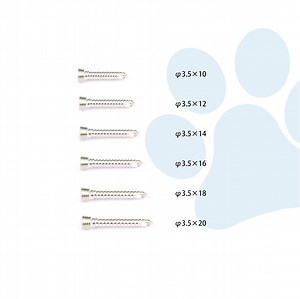 [Hot Item] Vet Screws Stainless Steel Locking Bone Screw Orthopedic Instruments Bone Veterinary Orthopedic Implants Surgical Instruments