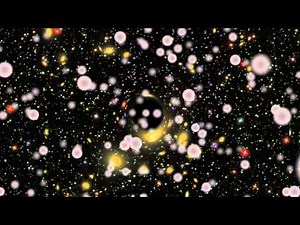 Black Holes and Dark Matter