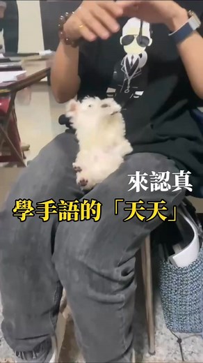 #天天日誌 #天天成長紀錄 | 張心怡