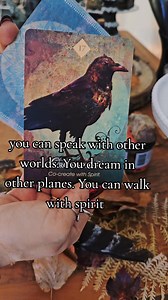 276K views · 14K reactions | Did you ever notice them around all the time? #tarot #tarotreading #animalguides #Intuition | Healing Hands Apothecary | Facebook