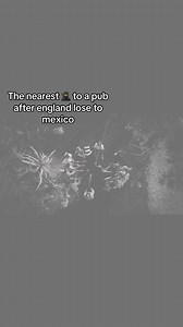 #wc #england #worldcup #lynch