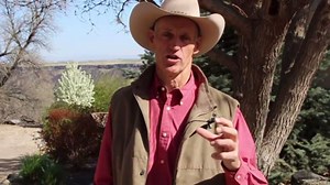 Mare Fertility | Natural Herb Blend Supports a Mare Reproductive System In Preparation For Breeding | Supports Mare in Heat | Helps Deal With Moodiness and Hormone Imbalance |Made In The USA by Silver Lining Herbs