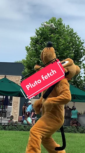 Pluto Playing Fetch at Walt Disney World