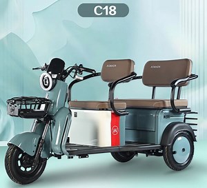 [Hot Item] 2025 Electric Tricycles Cargo Tricycle Auto-Rickshaw Electric Three-Wheel
