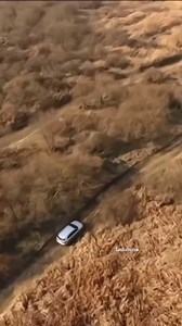 Reposted from @leeminhonuna Leeminho x DMZ Wildlife documentary teaser 2016 📝 Korean DMZ : Demilitarized zone between North and South Korea #leeminho #actorleeminho #leeminho_이민호 #wildlife #李敏镐 #72 | Admin/Georgy