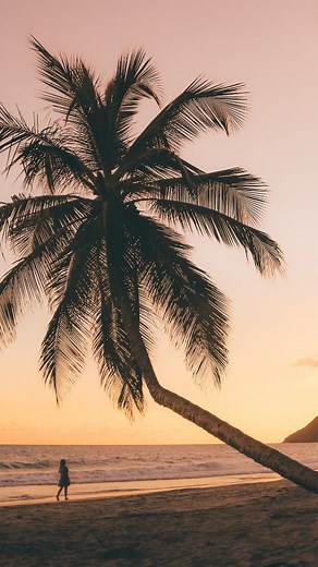 Céline, Chris & Johan👣🌎 Travel | MARTINIQUE VS GUADELOUPE 🌴🥥 C'est une question qu'on nous pose souvent ! Mais en réalité c'est difficile de choisir une de ces deux... | Instagram