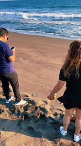 25K views · 444 reactions | Nos fuimos a liberar Tortugas a Monterrico a pocos metros de Hotel Villa Kairos Monterrico, Guatemala una bonita experiencia!!! | Yo soy Chapin | Facebook