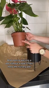 280K views · 764 reactions | The importance of the plastic nursery pots | India Gardening | Facebook