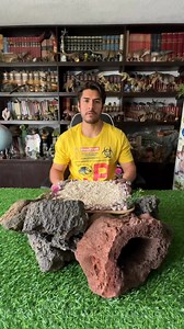 3.1K views · 92 reactions | Datos acerca de “Torvoneustes”  #jurassicworld #jurassicworld #dinosaurios #mattel | El Guante de Guslutt | Facebook