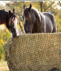 Bale Hay Net
