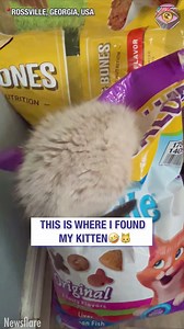 171K views · 1.5K reactions | I'd totally pull the same stunt with a Nutella jar 藍 | Bright Side | Facebook