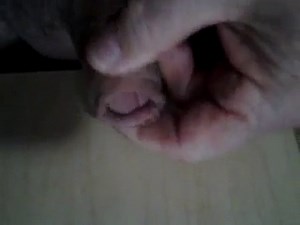 Another afternoon load.