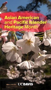 3.1K views · 19 reactions | Join us in celebrating Asian and Pacific...