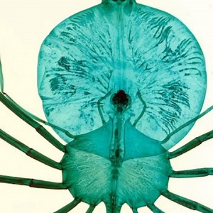 Google Arts & Culture on Reels