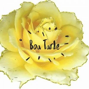 49 reactions · 23 shares | Coisas do coração on Reels | Facebook