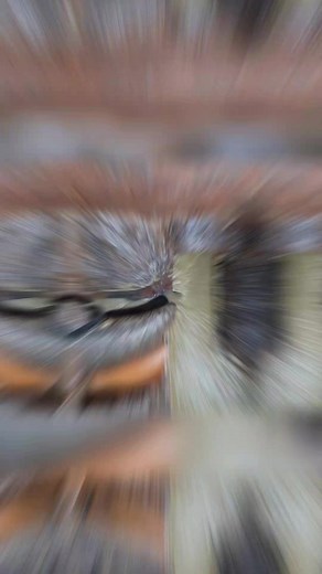 Here we recieved a call from a customer with a blocked toilet, we attended property traced issue down to a blocked branch line, we jetted to clear blockage & restored full flow, we were glad to help, another happy customer ✅ If you have blocked toilet, shower, bath or sink, we can help, please get in touch with us www.flowriteplumbingdrainage.co.uk #flowriteplumbing #flowrite #flowritedrains #blockeddrains #overflowingdrains