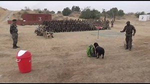 ADGPI - Indian Army on Reels