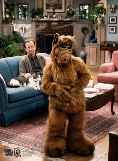 Alf Funk: A Nostalgic Dance Parody from the 80s