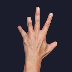 Plus que 4 mois ! Venez découvrir la nouvelle scie sur table TKS 80 dotée de la technologie SawStop sur le salon EUROBOIS, du 4 au 7 février 2020 à Lyon. Elle va vous épater ! Hall 6, stand E 49. Commandable chez votre distributeur Festool à partir du 1er juin. Plus d'infos sur www.festool.fr/@575781 | Festool