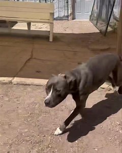 7.6K views · 242 reactions | Look out world! Comin in hot is Sky! Sky...