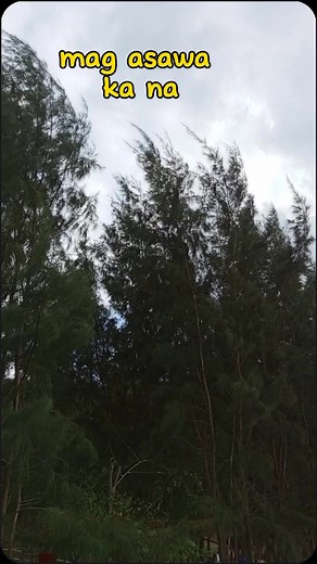 124 reactions · 33 shares | Honey Danielz on Reels | Facebook