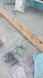 plaza de Acapa, Tlahuiltepa, Hidalgo, México. | Hidalgo Imponente