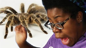 168K views · 1K reactions | Co-workers Get Pranked With A Tarantula | BuzzFeed | Facebook