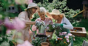 Jardins partagés : qu'a-t-on le droit de faire ?