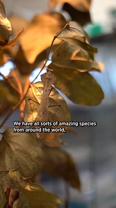 2.3K views · 30 reactions | We are excited to participate in...