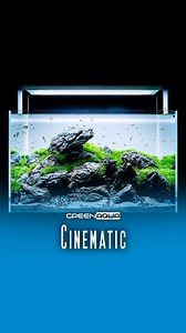 Iwagumi with Utricularia graminifolia!🥰💚 | Cinematic by Green Aqua #greenaqua #aquascaping #aquascape #plantedtank #plantedaquarium #aquaticplants #amazingnature #inspiration #passion #aquariumplants #aquariumsdaily #interiordesign #aquadesignamano #adahungary #instagood #aquarium #aquariumphotography #aquariumsofinstagram #aquariumlife #aquariums #aquariumhobby #natureaquarium #freshwateraquarium #aquariumfish #aquariumgallery | Green Aqua