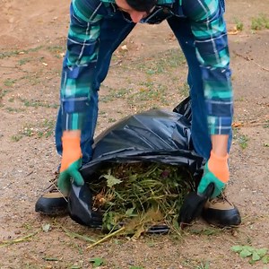 Cool garden ideas that really work | 5-Minute Crafts