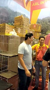 Arl integrated farm Art Lopez Figba fiestag 2024 Smx convention center Moa Arena Pasay city August 16/17/18/2024 #everyonehighlights | Dano Gamefowl