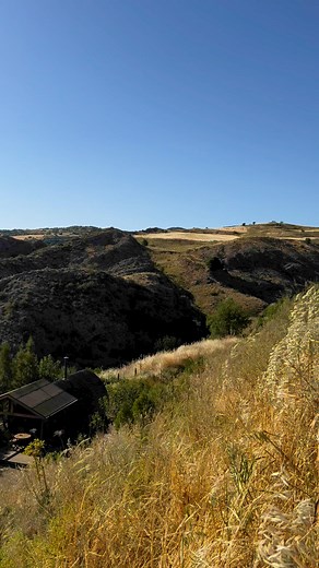 Spring in full swing 🌳🌸🌅Happy afternoon to you all 😎 #yurtsincyprus #yurts #cyprus #glamping #glampinglife #glampingnotcamping #glampingcyprus #springday #visitcyprus #lovecyprus #mybeautifulcyprus #myamazingcyprus #cypruslife #offgrid #offgridliving | Yurts in Cyprus