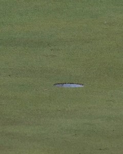 10K views · 100 reactions | Even Jason Dufner was impressed with this long putt from Jake Knapp!  #PGAChamp | PGA Championship | Facebook