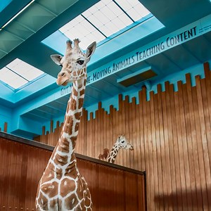 Did you know the zoo is filled with poetry? Poems, or excerpt from poems, are on display and incorporated in a variety of ways. Have you seen them? Where is your favorite poem located? Enjoy World Poetry Day, where ever you are. | Milwaukee County Zoo