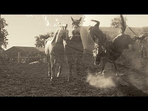 Matt Burch - Miles City Bucking Horse Sale