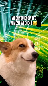 What are your plans upcoming weekend? 🤔 - #hardstyle #weekendplans #festival | Hardstyle.com