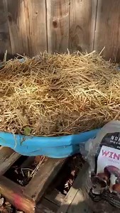 7.5K views · 212 reactions | Here’s a quick guide on How to grow...