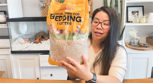 Watch Corn Cob Bedding Review for Hamster on Amazon Live