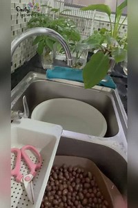 2.8K views · 83 reactions | DFVideo 9 - How to take care and clean...